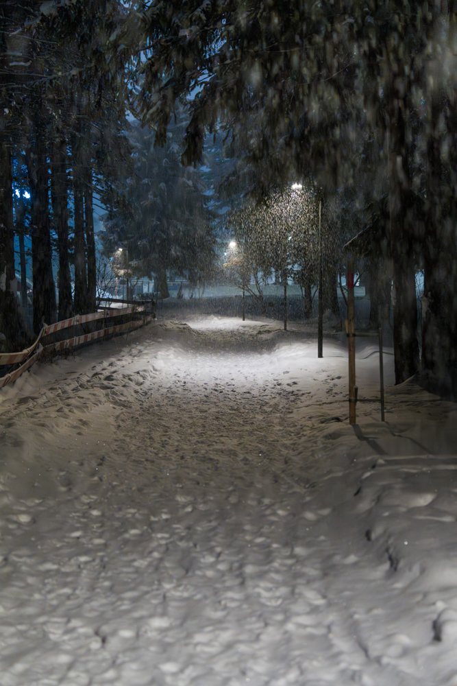 Beleuchteter Waldweg im nächtlichen Schneefall, Davos